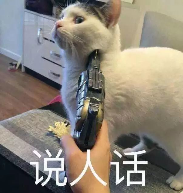 阻断牌 阻断牌